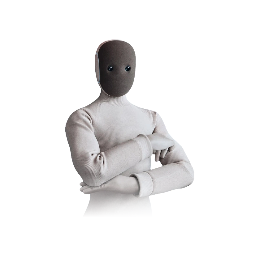 1X Technologies 1X NEO