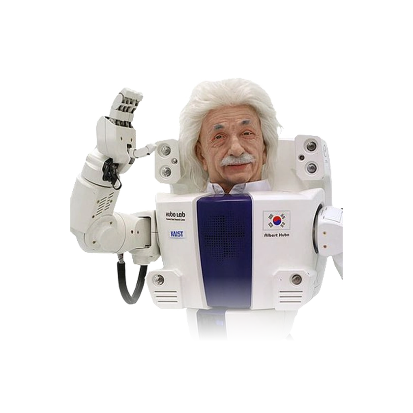 KAIST Albert Hubo