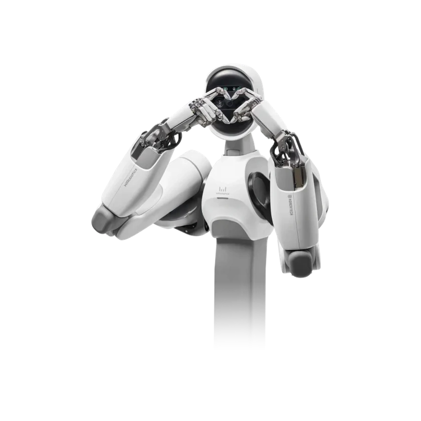 WIRobotics ALLEX