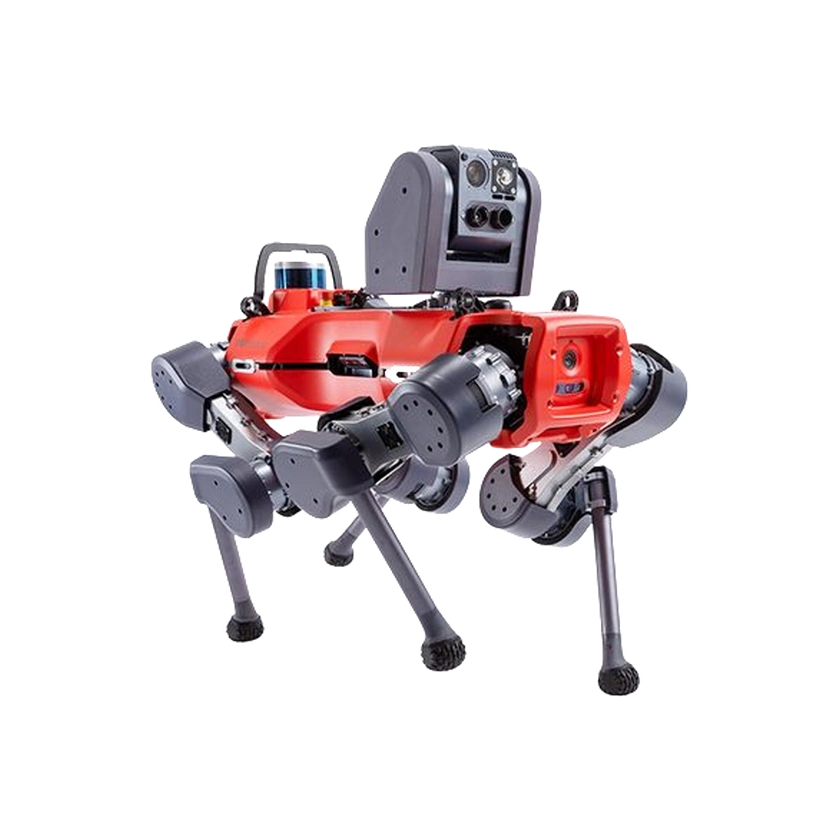 ANYbotics ANYmal