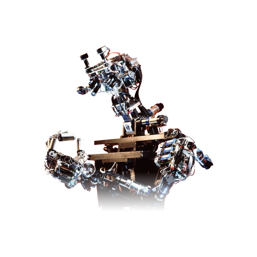 MIT Cog