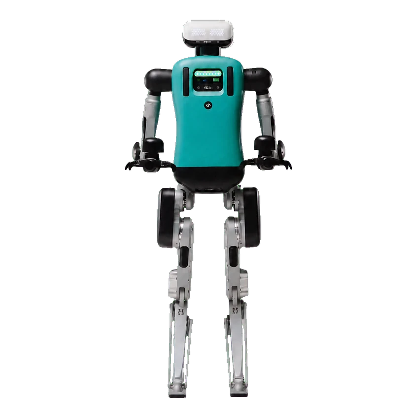 Digit v4