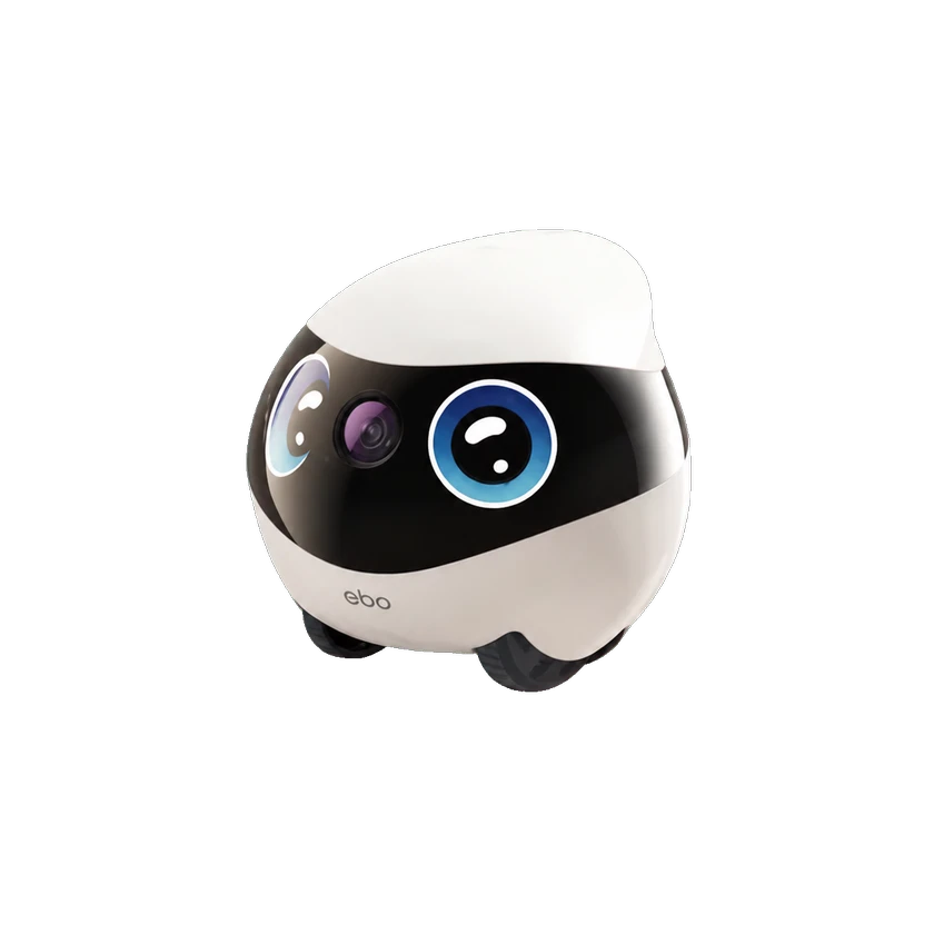 EBO Mini