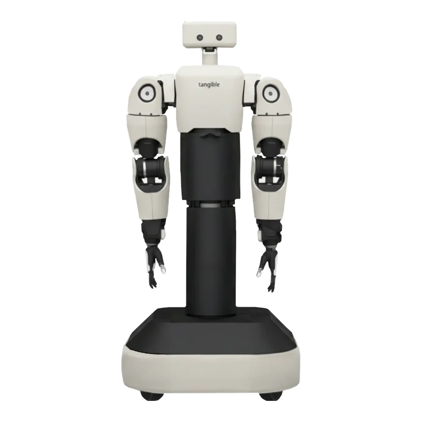 Tangible Robots Eggie
