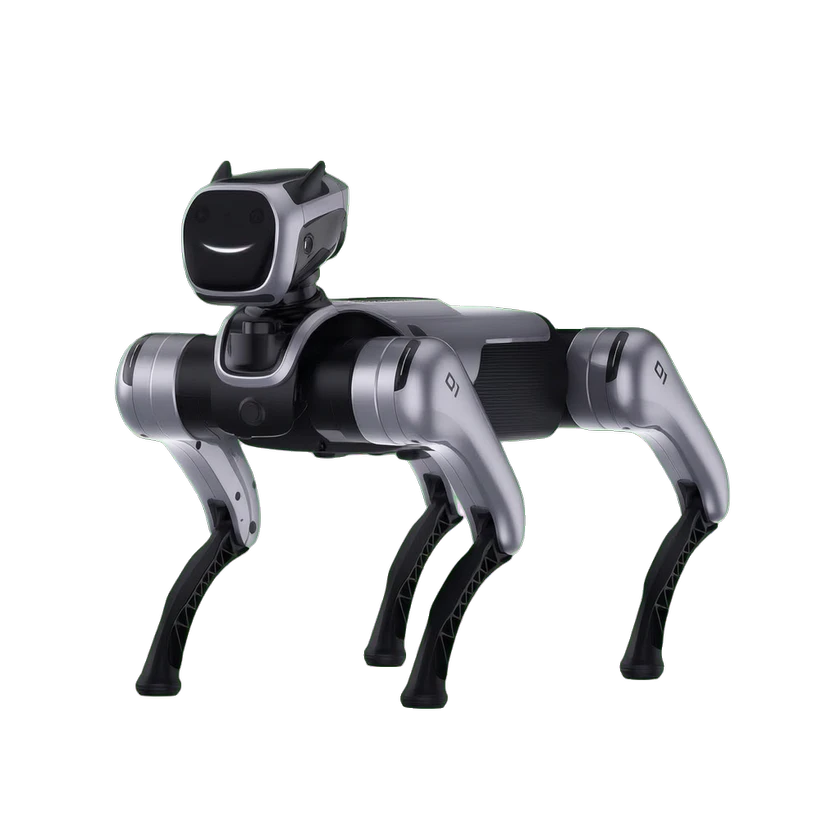 MagicDog PRO