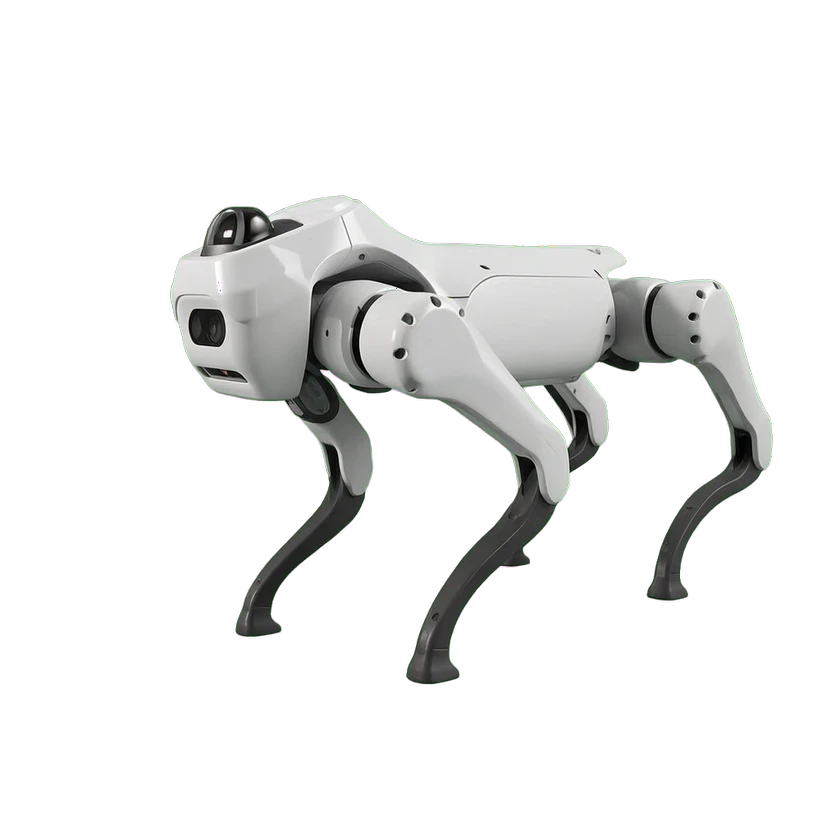 MagicDog T1