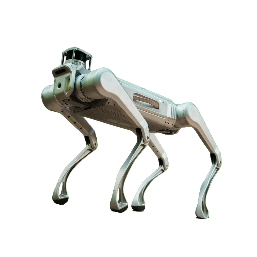 MagicDog Y1