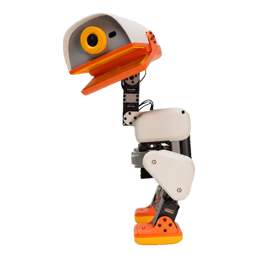 Microduck