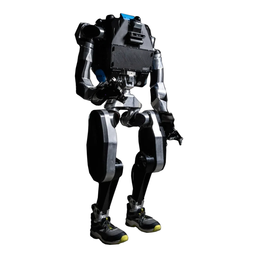 Noble Machines Moby