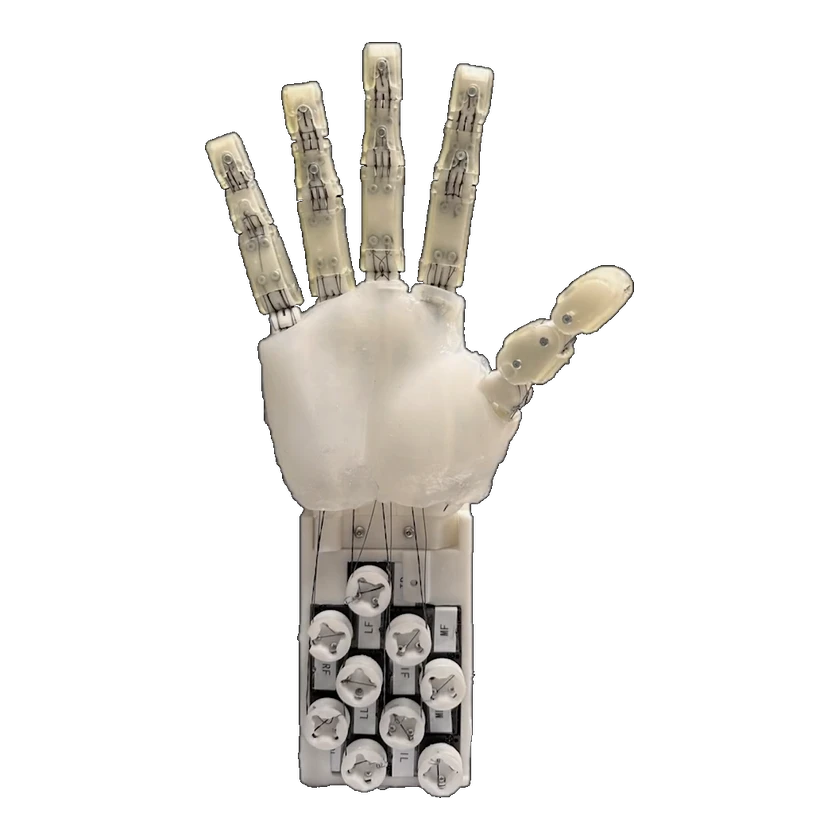 Sogang University RIM Hand