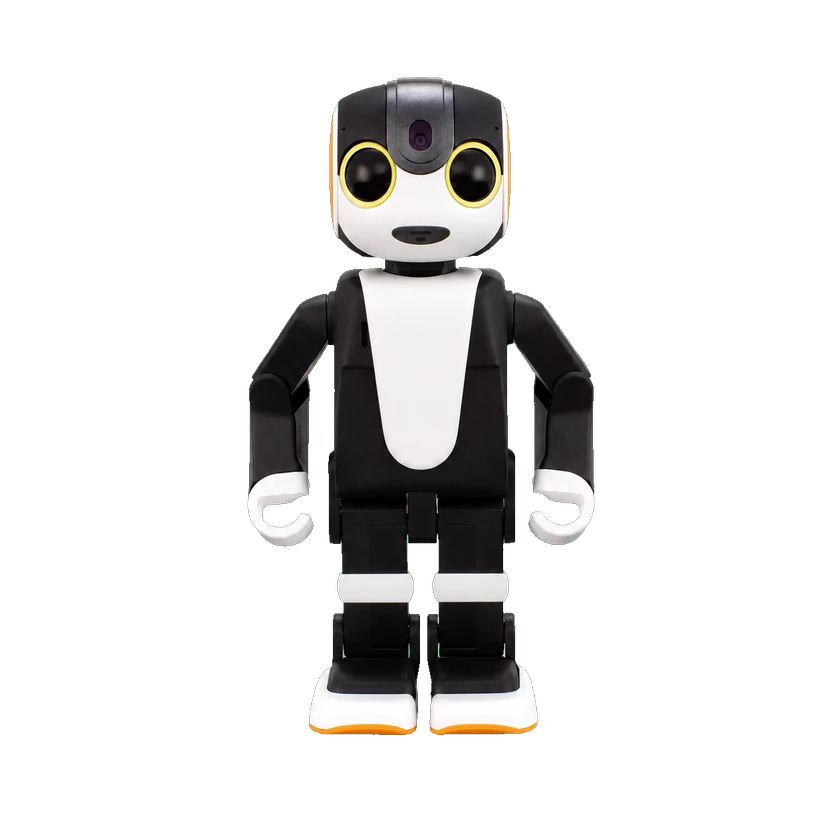 Robohon