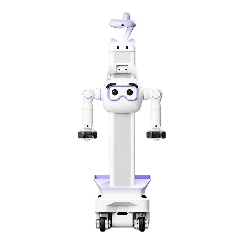 C1