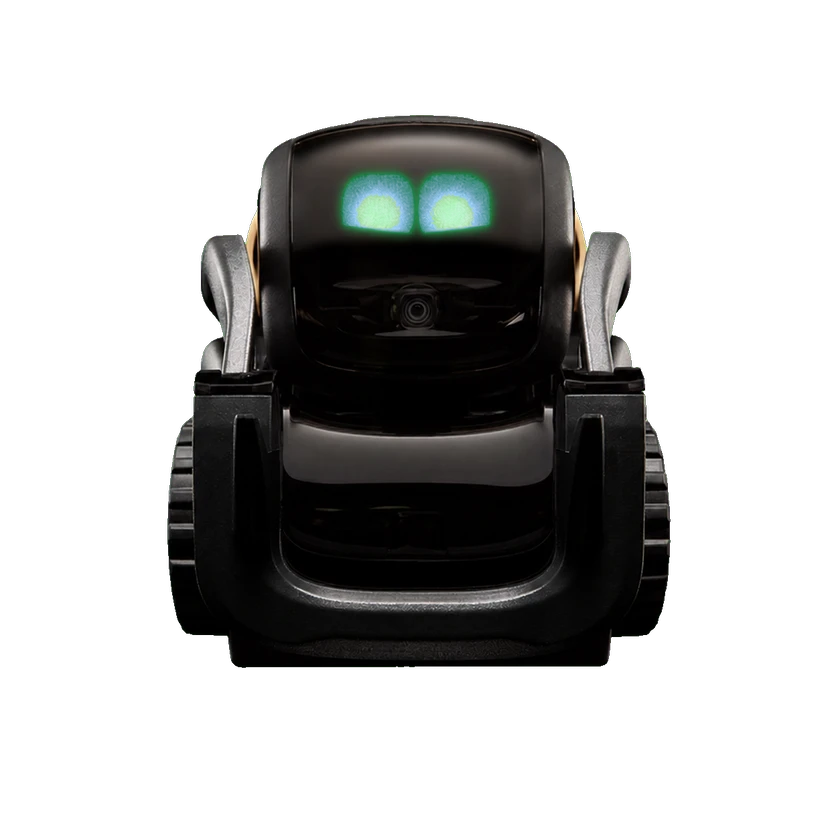 Vector