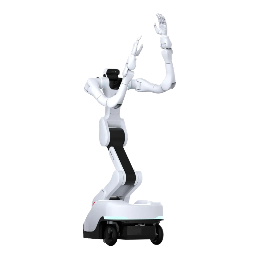 Dexmate Vega