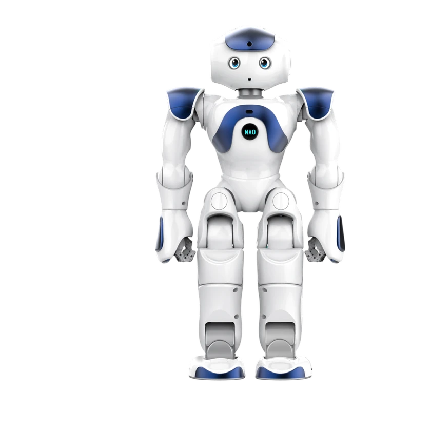 NAO Mini