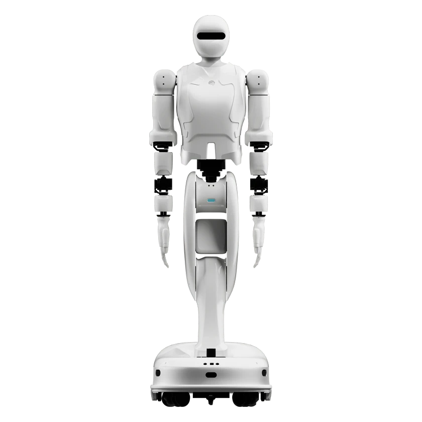 YMBot D